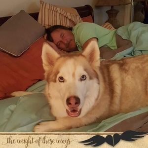 Meet your Posher, Donnie